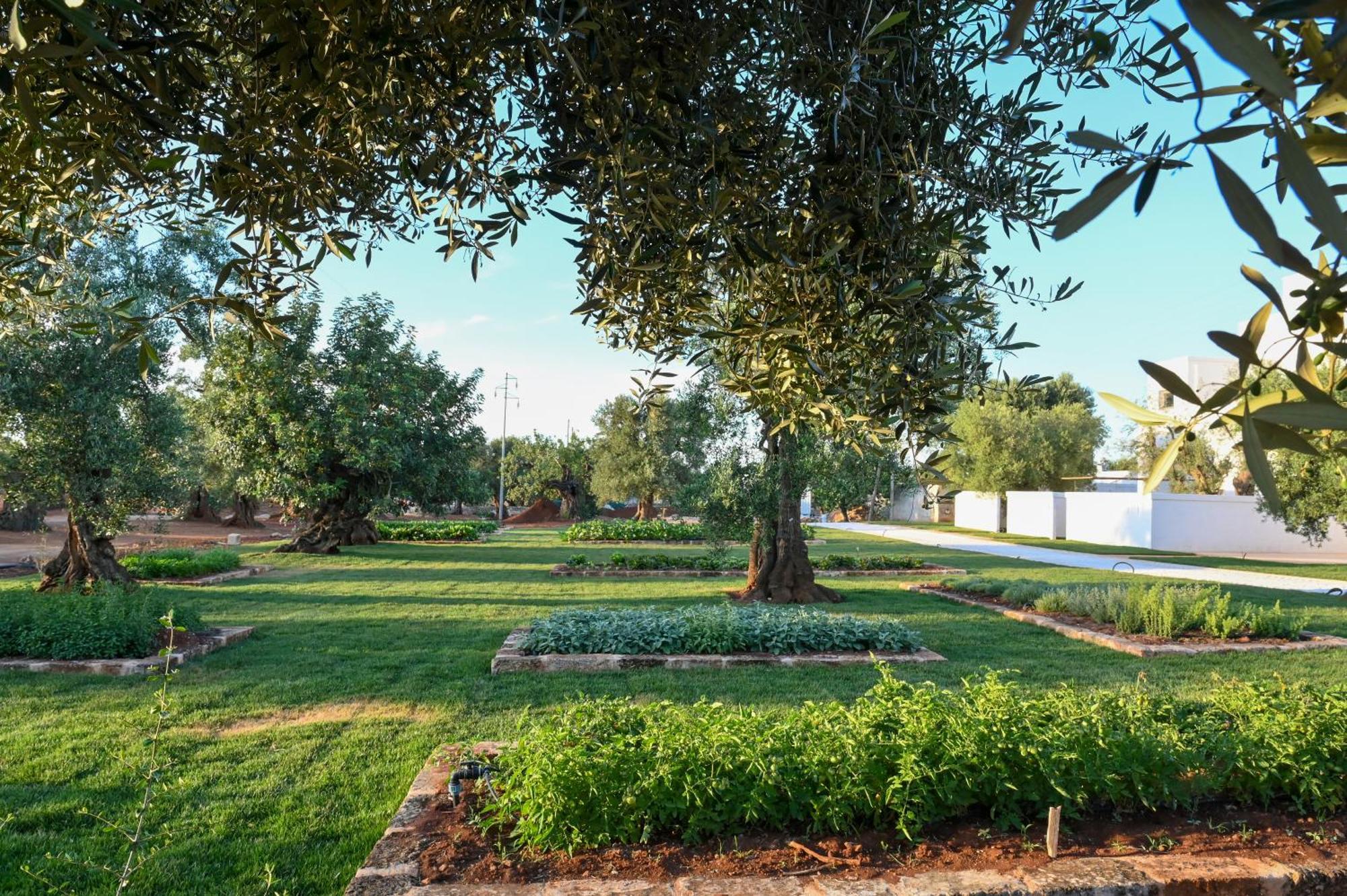 Masseria San Lorenzo Resort Fasano Kültér fotó